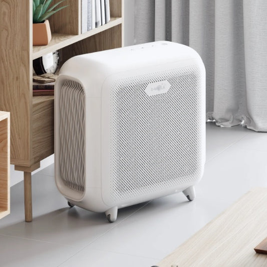 Air Purifier for Home & Office